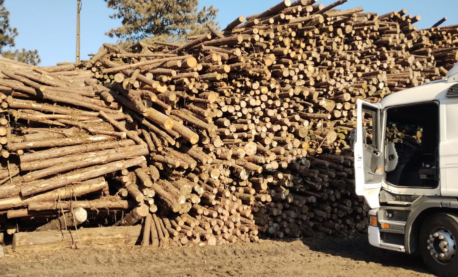 Operação da Receita Estadual fecha empresas por irregularidades fiscais na região de Guarapuava