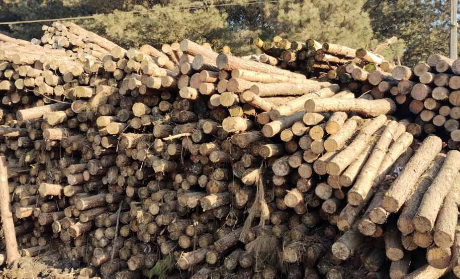 Operação da Receita Estadual fecha empresas por irregularidades fiscais na região de Guarapuava