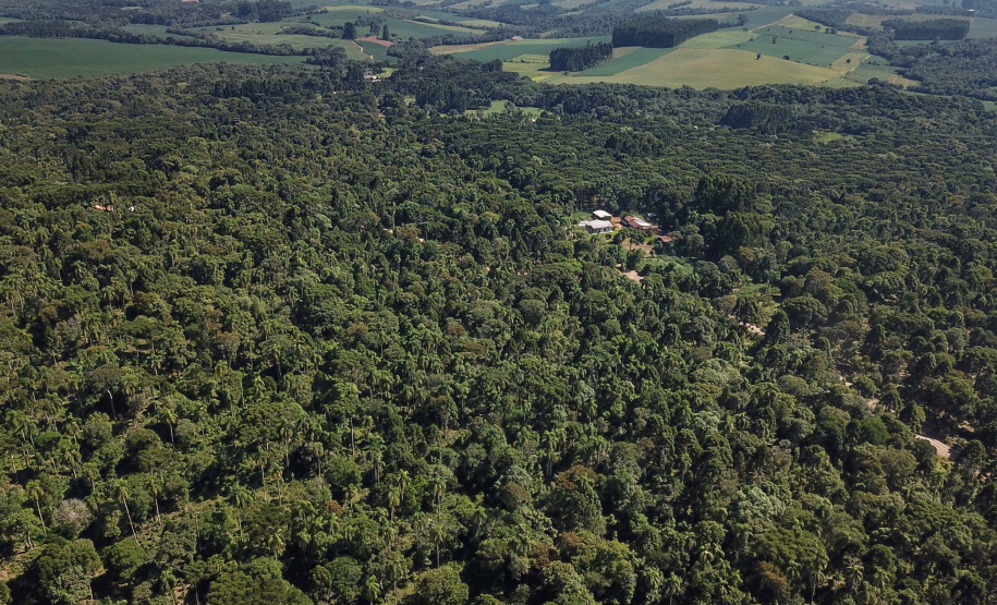 Com inclusão da erva-mate, Prêmio Orgulho da Terra 2023 destaca boas práticas no campo