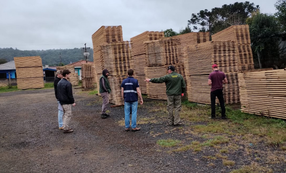 Operação da Receita Estadual fecha empresas por irregularidades fiscais na região de Guarapuava
