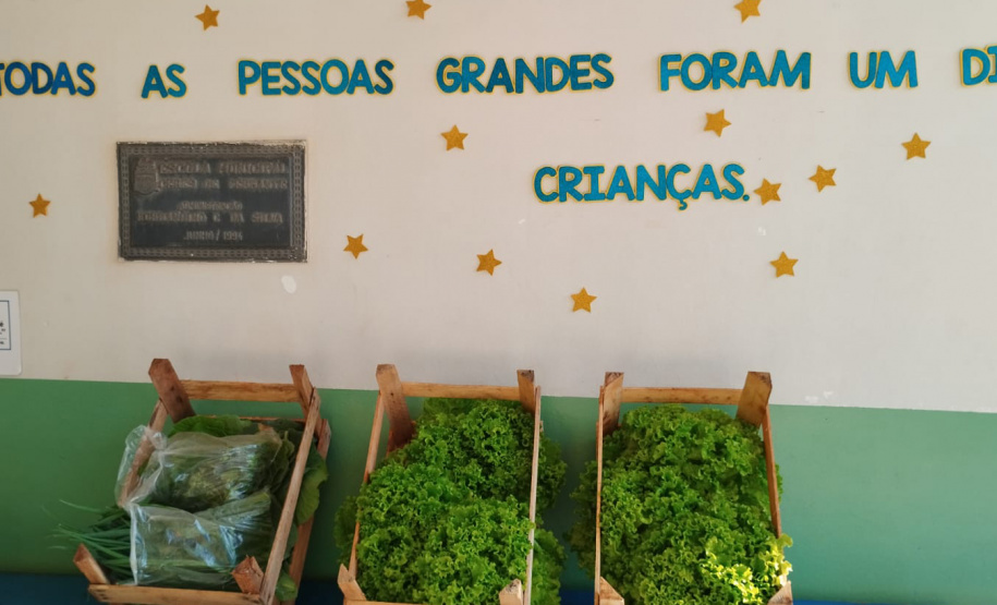 Projeto Semear, da Polícia Penal do Paraná, fornece alimentação orgânica a crianças de escola municipal em Foz do Iguaçu