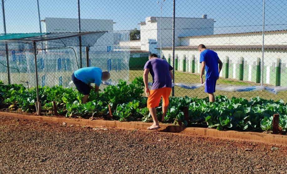 Projeto Semear, da Polícia Penal do Paraná, fornece alimentação orgânica a crianças de escola municipal em Foz do Iguaçu