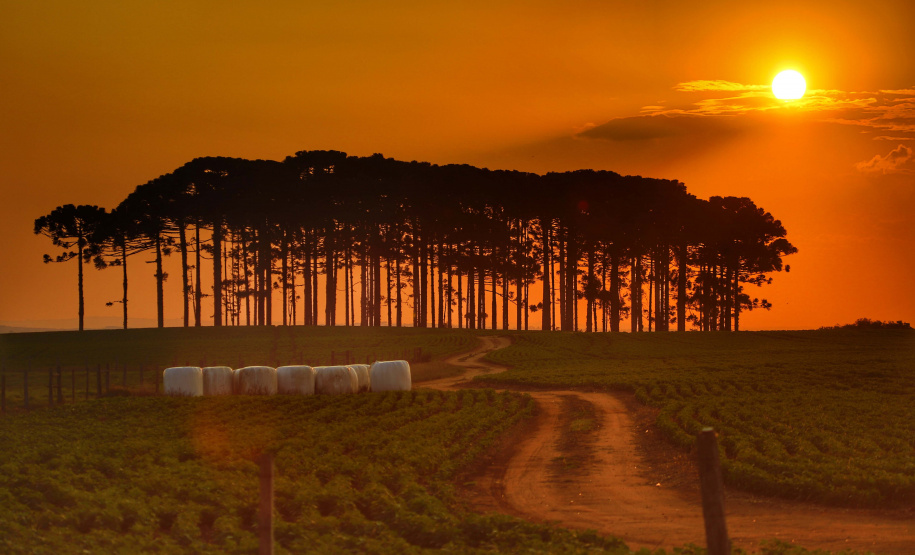 Paraná lança plataforma interativa com riscos de eventos climáticos nos municípios