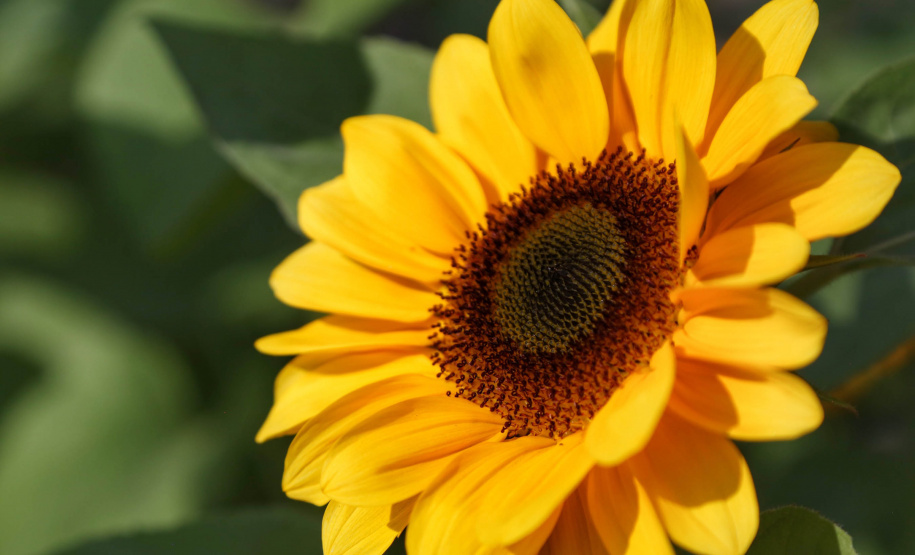 Setembro tem feiras e exposições no calendário turístico do estado