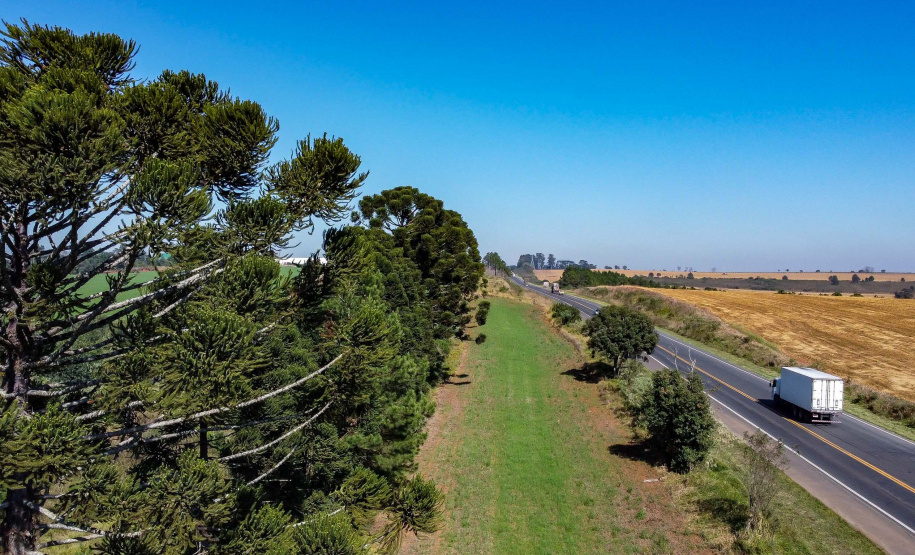 Lote 1 prevê duplicação e 21 viadutos e passarelas entre Ponta Grossa e Prudentópolis