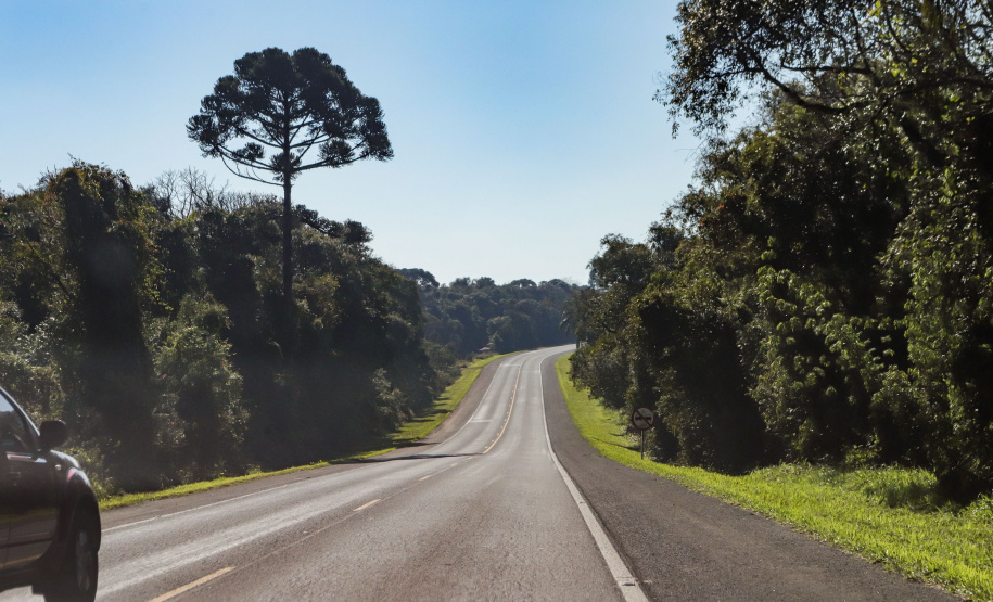 Lote 1 prevê duplicação e 21 viadutos e passarelas entre Ponta Grossa e Prudentópolis