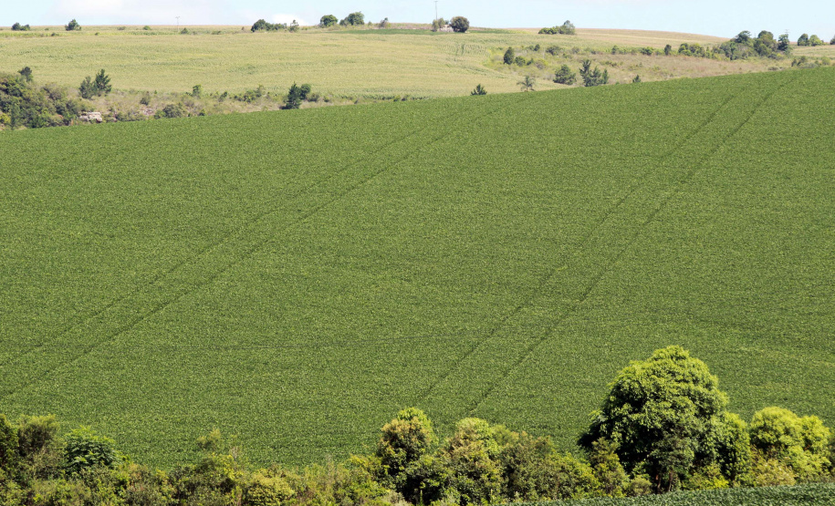 Com protagonismo ambiental, Paraná é o terceiro estado mais competitivo do Brasil