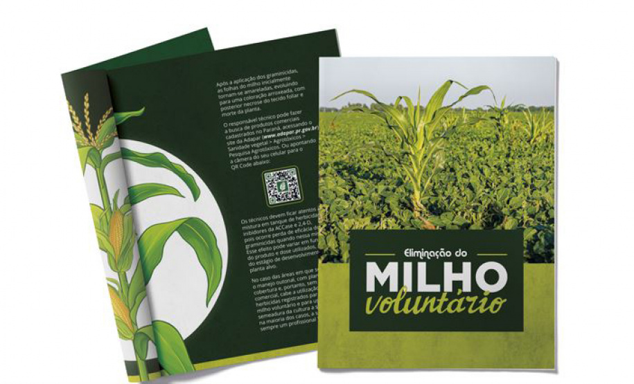 Em parceria com o Sistema Estadual de Agricultura, livreto orienta produtores sobre como eliminar milho voluntário