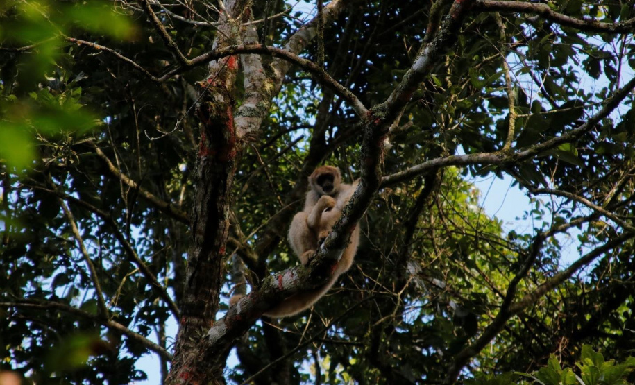 Estudantes de Castro conhecem espécies em extinção em visita ao Zoo