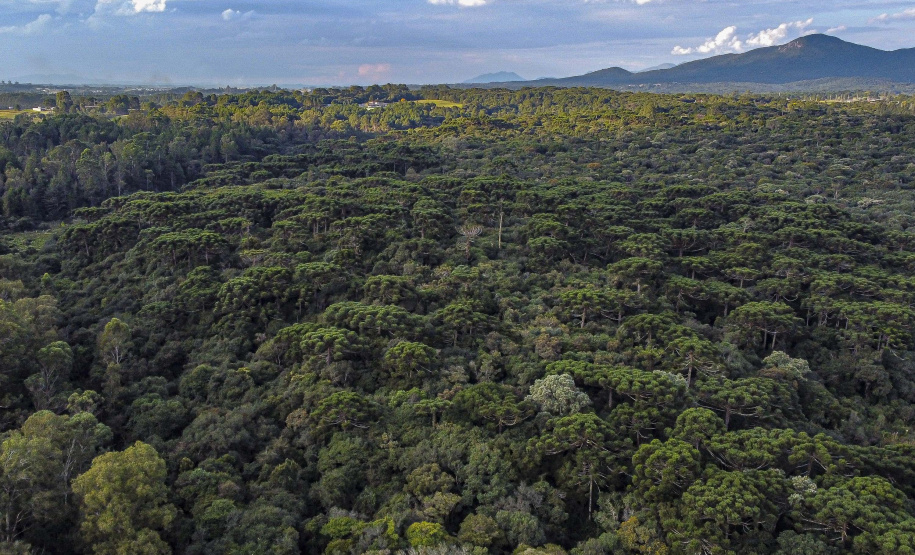 Com protagonismo ambiental, Paraná é o terceiro estado mais competitivo do Brasil