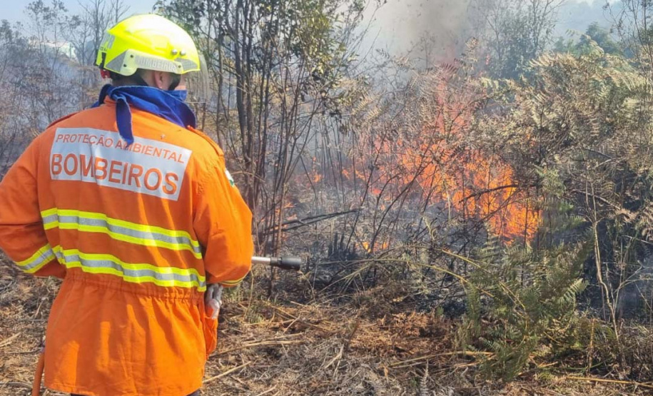 O IAT promoveu nesta quarta-feira (23) uma nova ação de queimada controlada no Parque Estadual de Vila Velha.