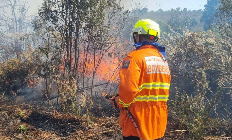 O IAT promoveu nesta quarta-feira (23) uma nova ação de queimada controlada no Parque Estadual de Vila Velha.