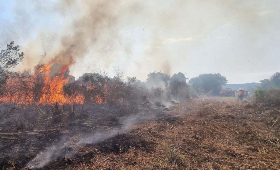 O IAT promoveu nesta quarta-feira (23) uma nova ação de queimada controlada no Parque Estadual de Vila Velha.