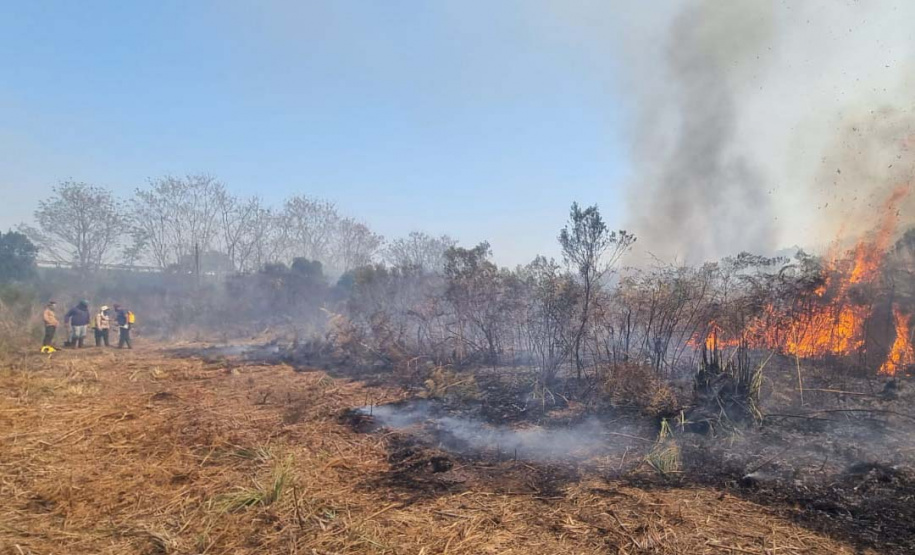 O IAT promoveu nesta quarta-feira (23) uma nova ação de queimada controlada no Parque Estadual de Vila Velha.