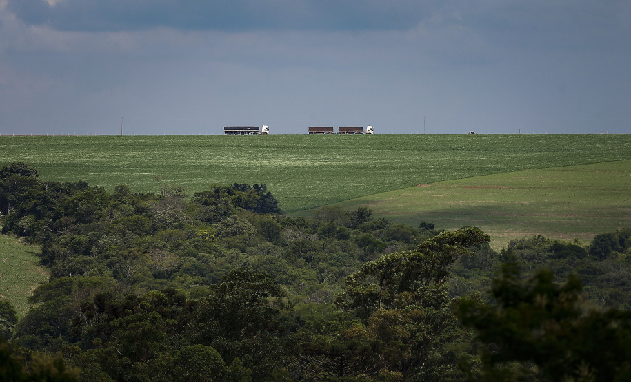 municípios com Valor Bruto da Produção Agropecuária acima de R$ 1 bilhão