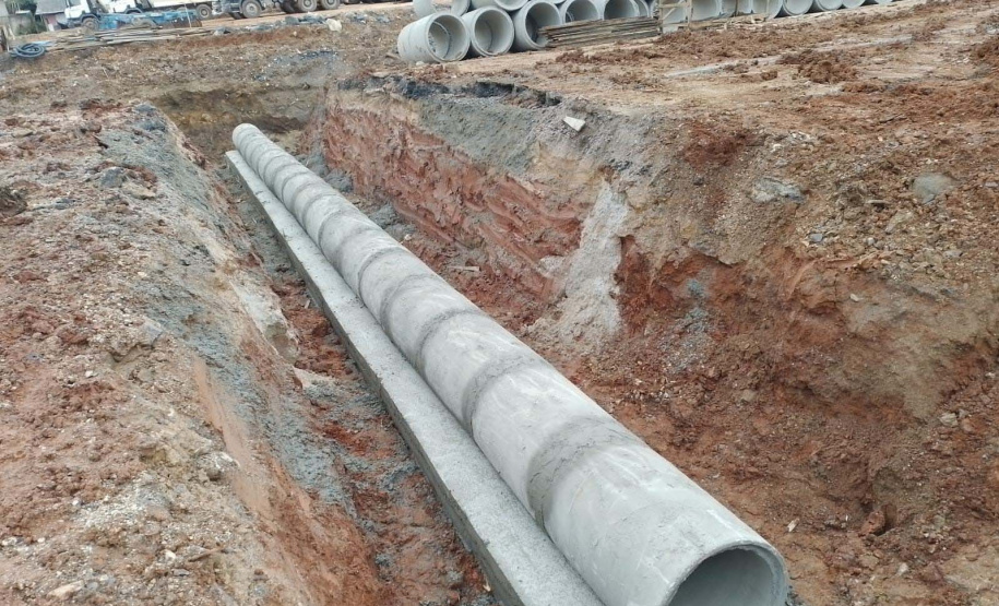 Paraná lidera criação de empregos para jovens na região Sul no primeiro semestre