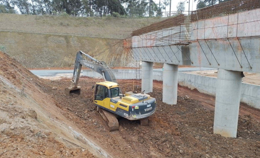 Paraná lidera criação de empregos para jovens na região Sul no primeiro semestre