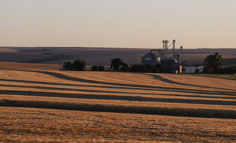 Com protagonismo ambiental, Paraná é o terceiro estado mais competitivo do Brasil