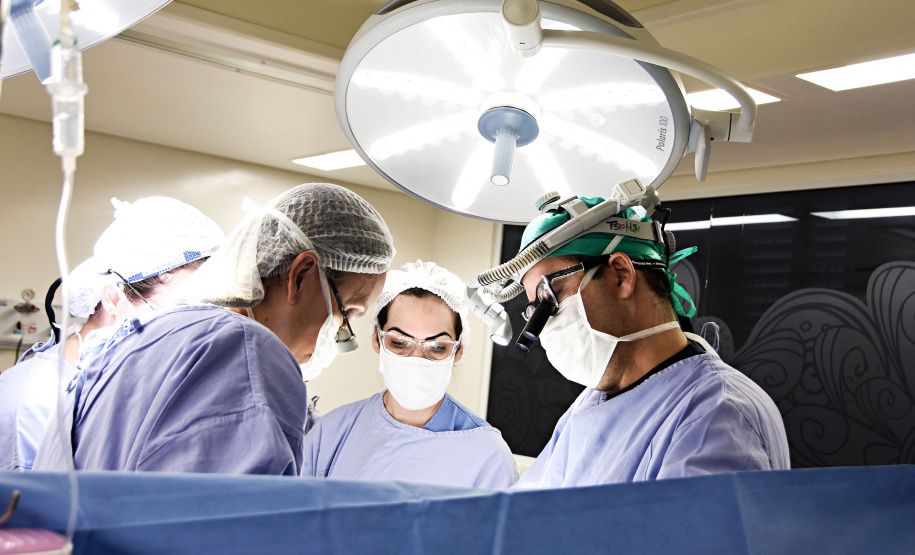 Novo relatório confirma o Paraná como líder nacional em doação de órgãos