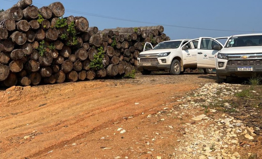 O IAT emitiu 154 Autos de Infração Ambiental (AIA) em sete municípios do Vale do Ribeira