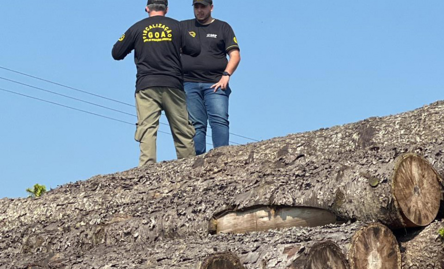 O IAT emitiu 154 Autos de Infração Ambiental (AIA) em sete municípios do Vale do Ribeira