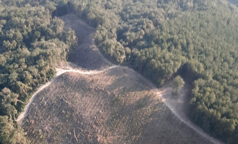 O IAT emitiu 154 Autos de Infração Ambiental (AIA) em sete municípios do Vale do Ribeira