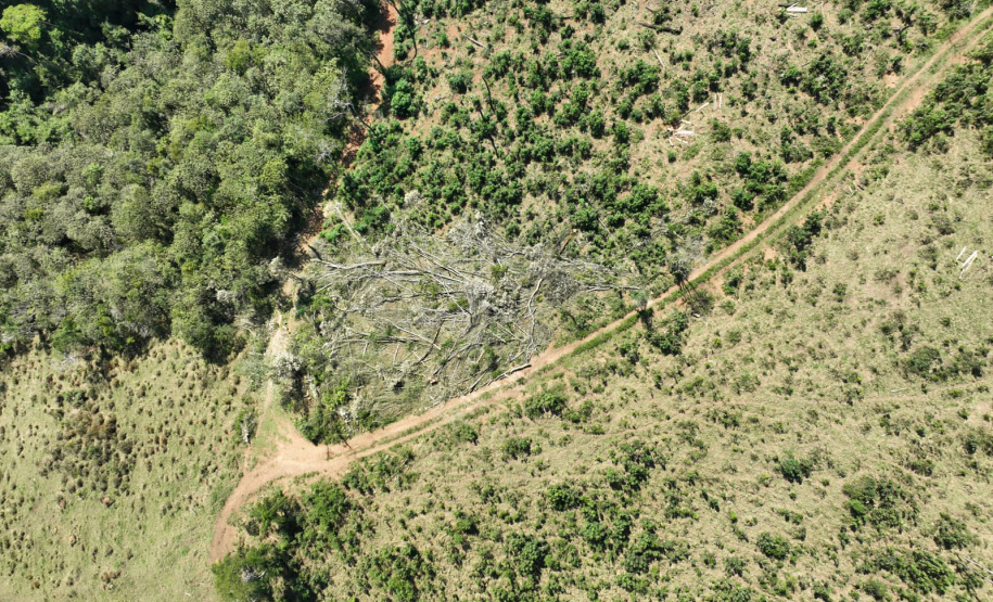 O IAT emitiu 154 Autos de Infração Ambiental (AIA) em sete municípios do Vale do Ribeira