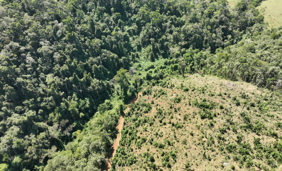O IAT emitiu 154 Autos de Infração Ambiental (AIA) em sete municípios do Vale do Ribeira