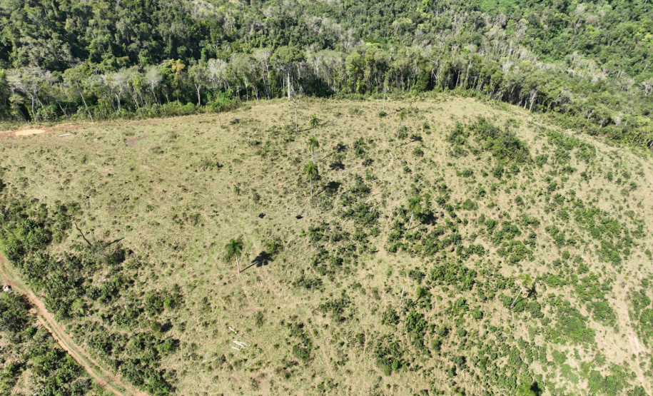 O IAT emitiu 154 Autos de Infração Ambiental (AIA) em sete municípios do Vale do Ribeira