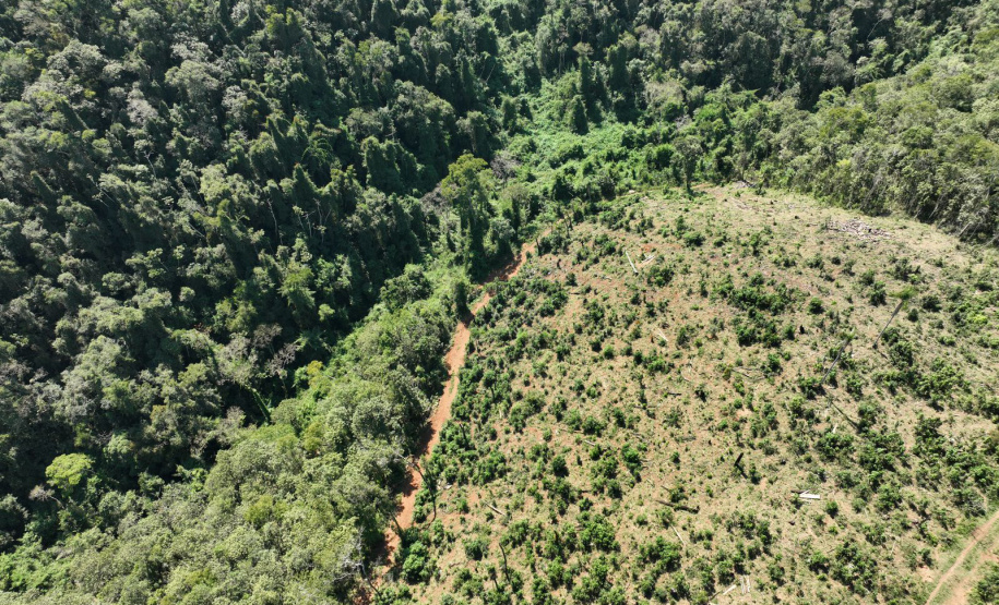 O IAT emitiu 154 Autos de Infração Ambiental (AIA) em sete municípios do Vale do Ribeira