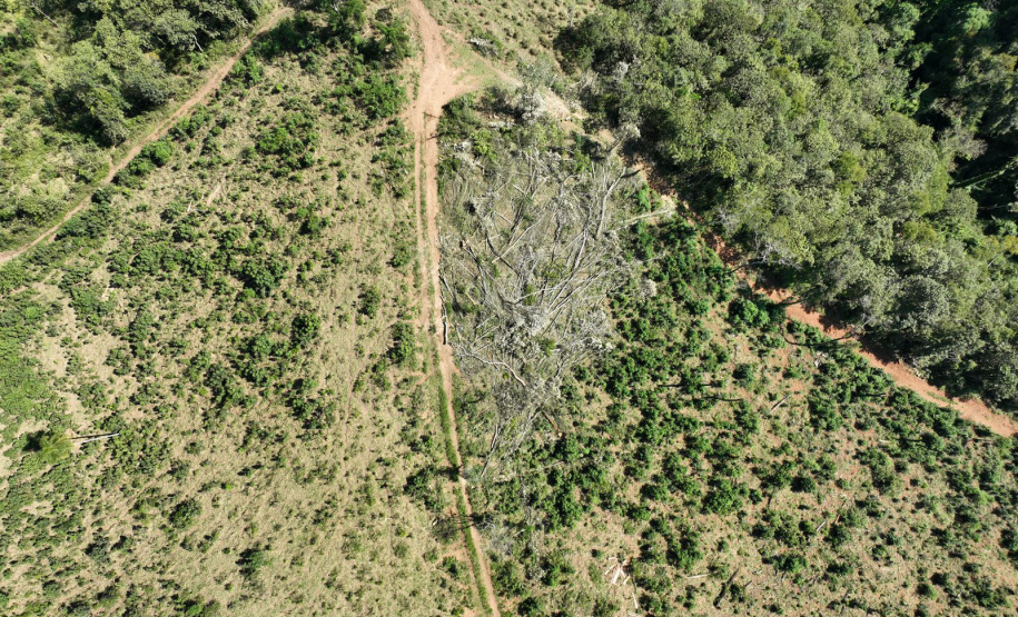 O IAT emitiu 154 Autos de Infração Ambiental (AIA) em sete municípios do Vale do Ribeira