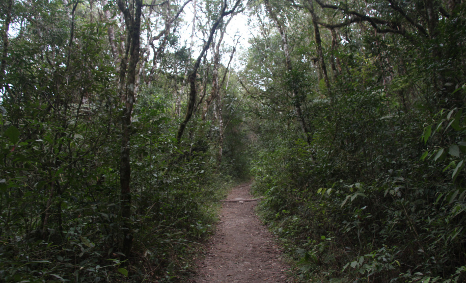 Parques Naturais IAT