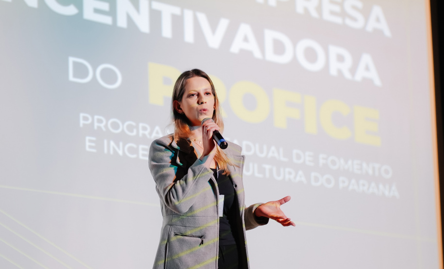Cultura apresenta mecanismos do Profice para contabilistas do Paraná