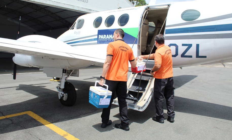 Novo relatório confirma o Paraná como líder nacional em doação de órgãos