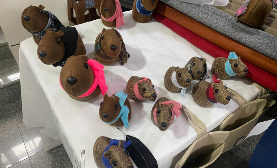 I Mostra Paranaense de Economia Solidária expõe 29 marcas sustentáveis