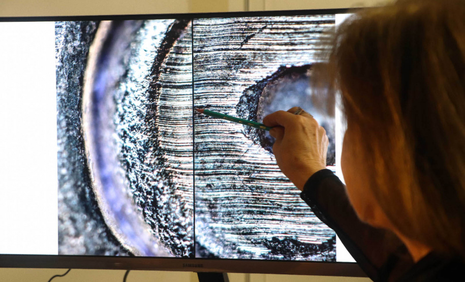 POLÍCIA CIENTÍFICA