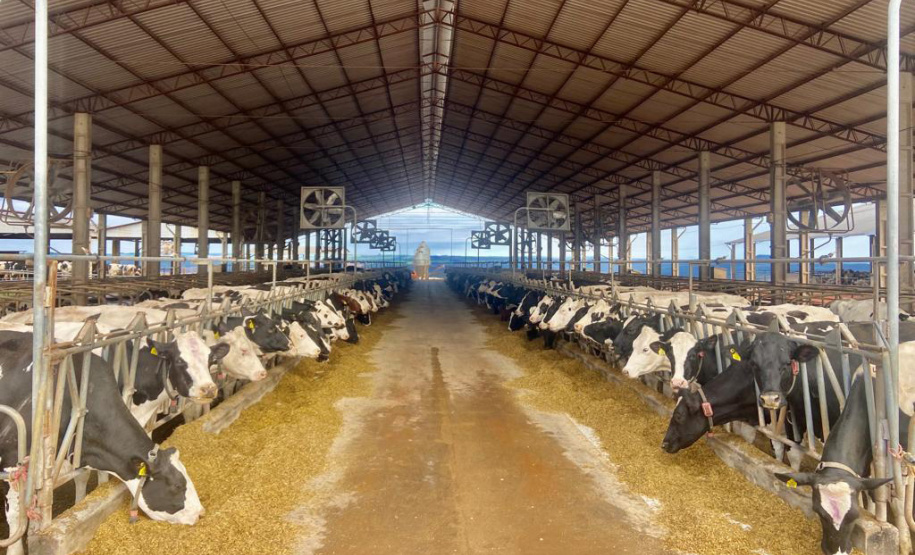 Crédito de longo prazo do BRDE impulsiona produção leiteira em Arapoti