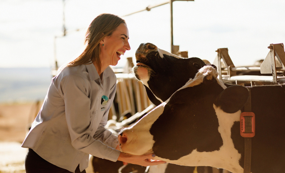 Crédito de longo prazo do BRDE impulsiona produção leiteira em Arapoti