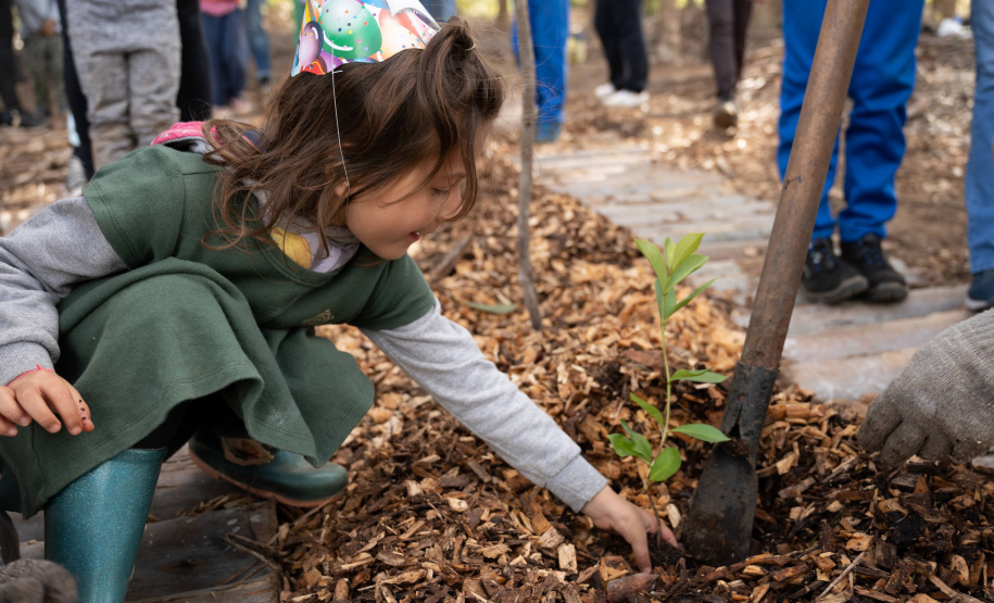 Estado lança material de educação ambiental para ser trabalhado em sala de aula