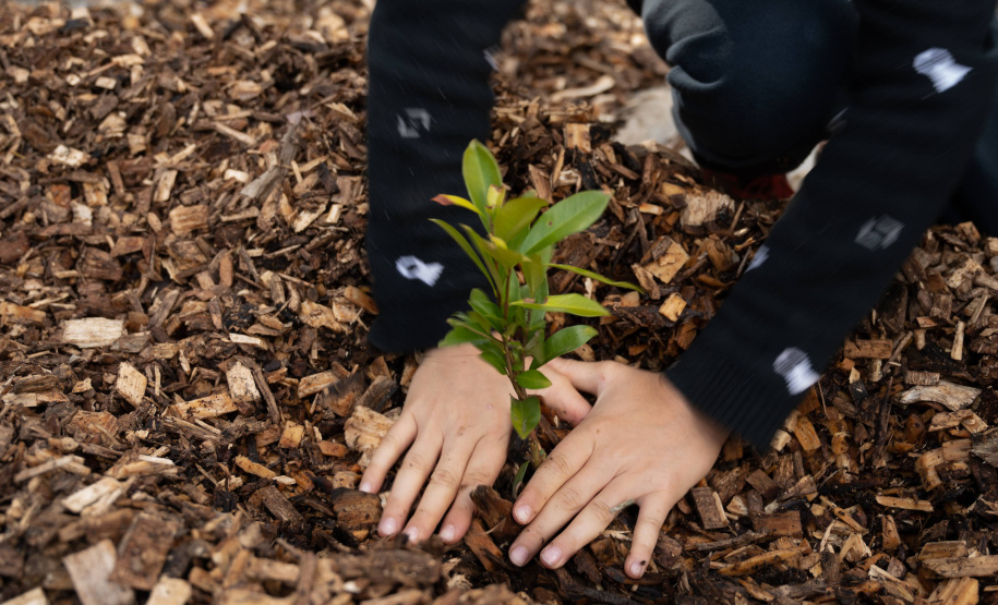 Estado lança material de educação ambiental para ser trabalhado em sala de aula