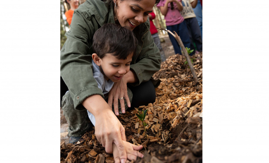 Estado lança material de educação ambiental para ser trabalhado em sala de aula