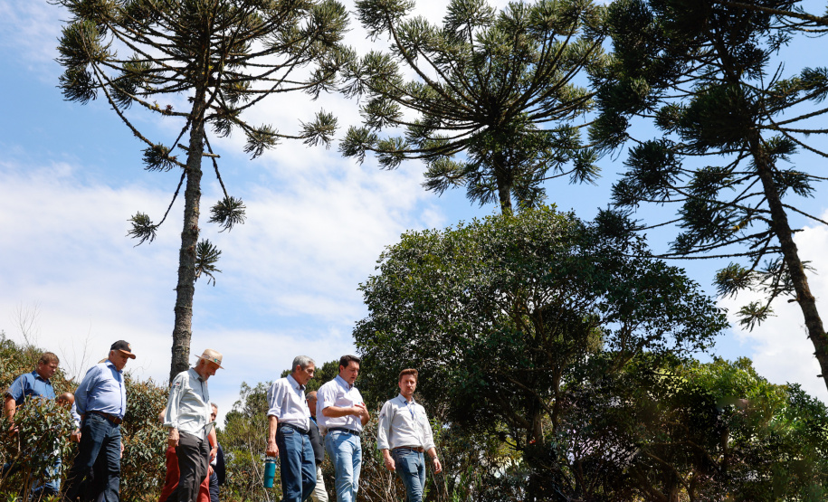 Governador da início à ação Mil Fontes, que vai proteger 1000 nascentes de água até o Dia da Árvore.