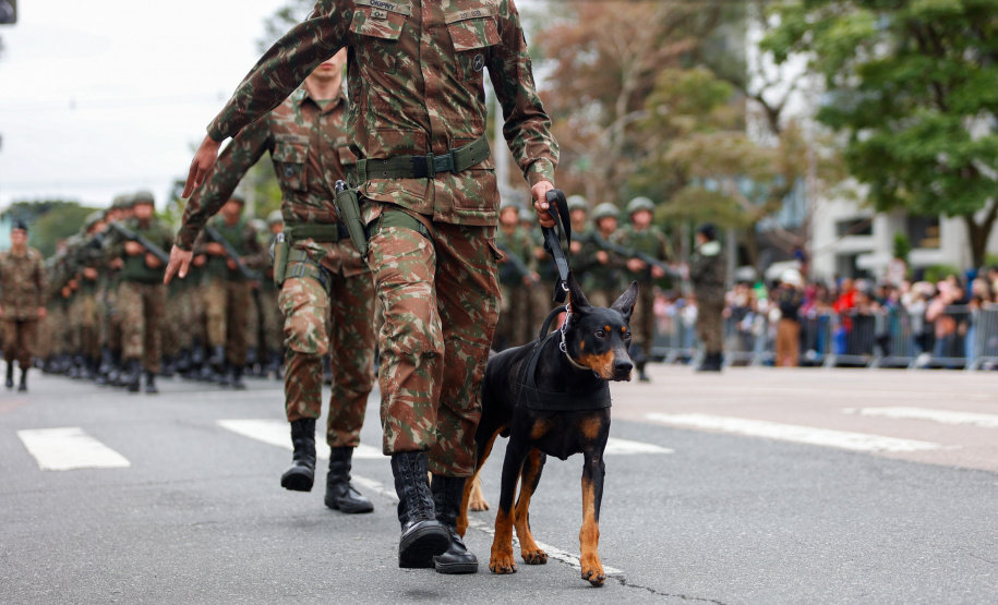 Milhares de pessoas participam do desfile de 7 de setembro em Curitiba