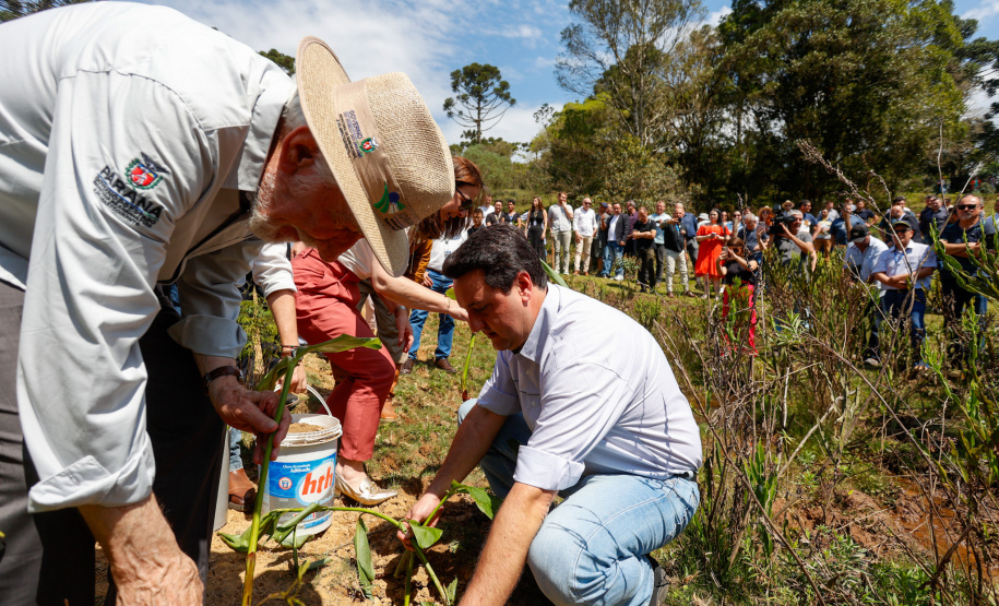 Governador da início à ação Mil Fontes, que vai proteger 1000 nascentes de água até o Dia da Árvore.