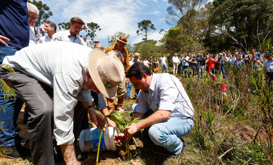 Governador da início à ação Mil Fontes, que vai proteger 1000 nascentes de água até o Dia da Árvore.