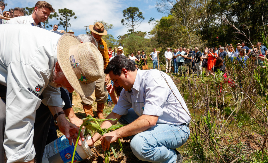 Governador da início à ação Mil Fontes, que vai proteger 1000 nascentes de água até o Dia da Árvore.