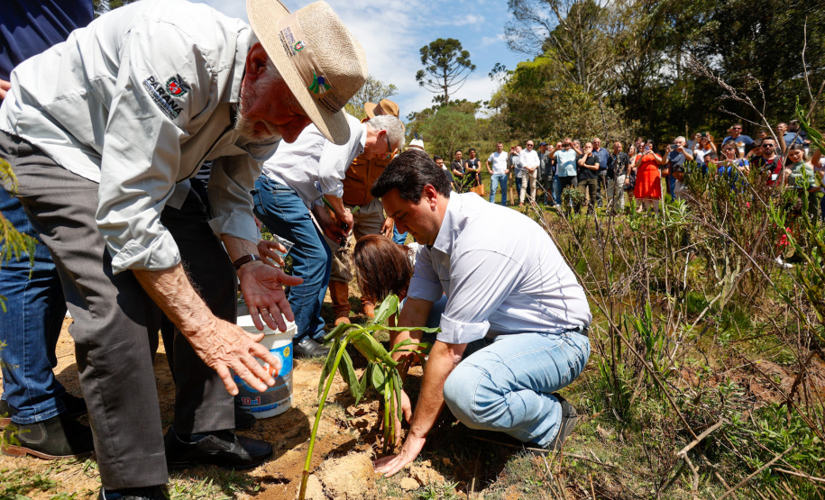 Governador da início à ação Mil Fontes, que vai proteger 1000 nascentes de água até o Dia da Árvore.