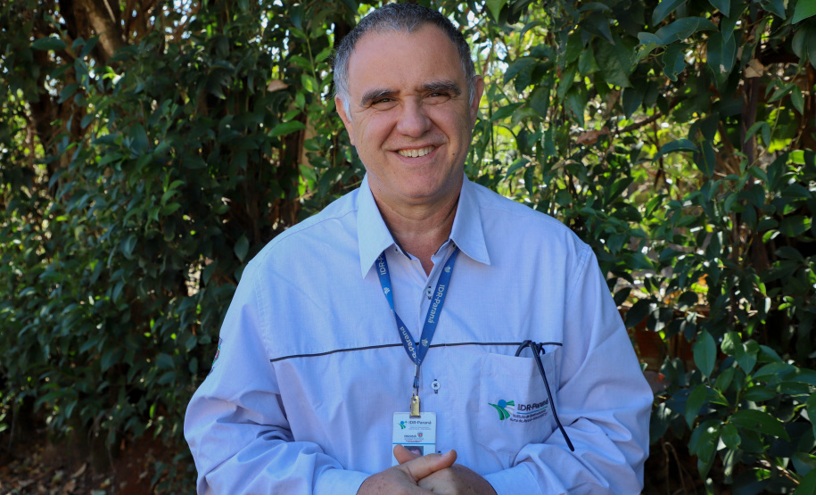 Com reconhecimento nacional, Marialva reforça vocação como maior produtora de uvas do Paraná