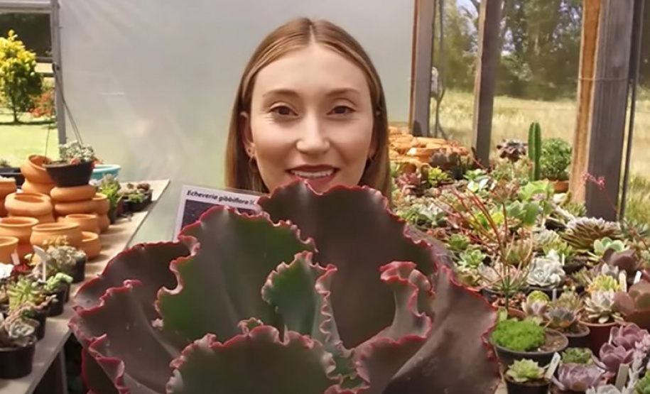 Protagonismo feminino no agro: 40 mil mulheres comandam atividades rurais no Paraná