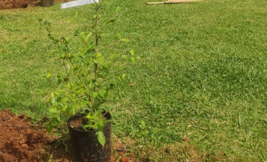 Polícia Penal lança projeto ambiental em conjunto com Prefeitura de Ponta Grossa e a Rotary Clube